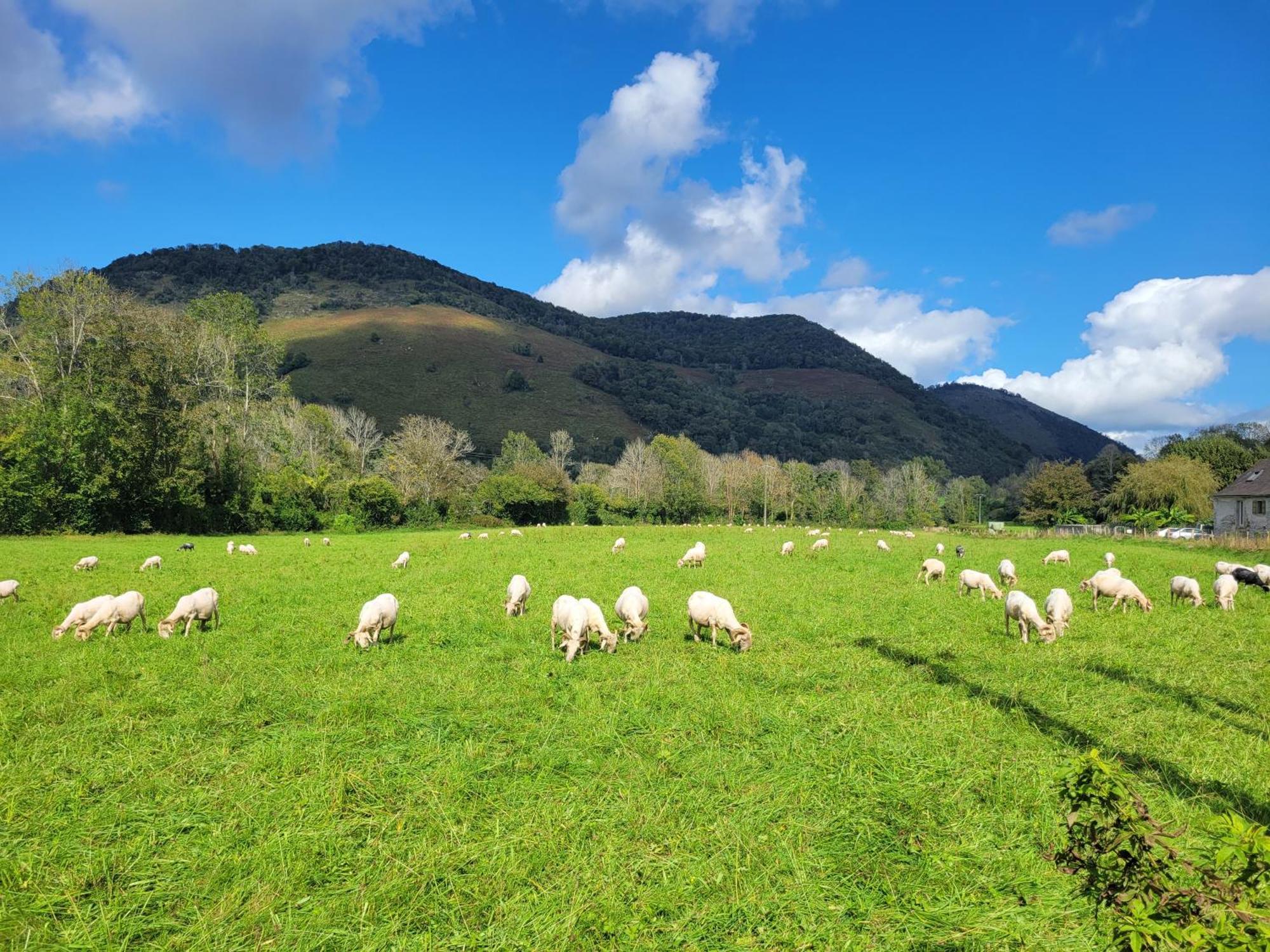 Maison De Campagne Issor Esterno foto