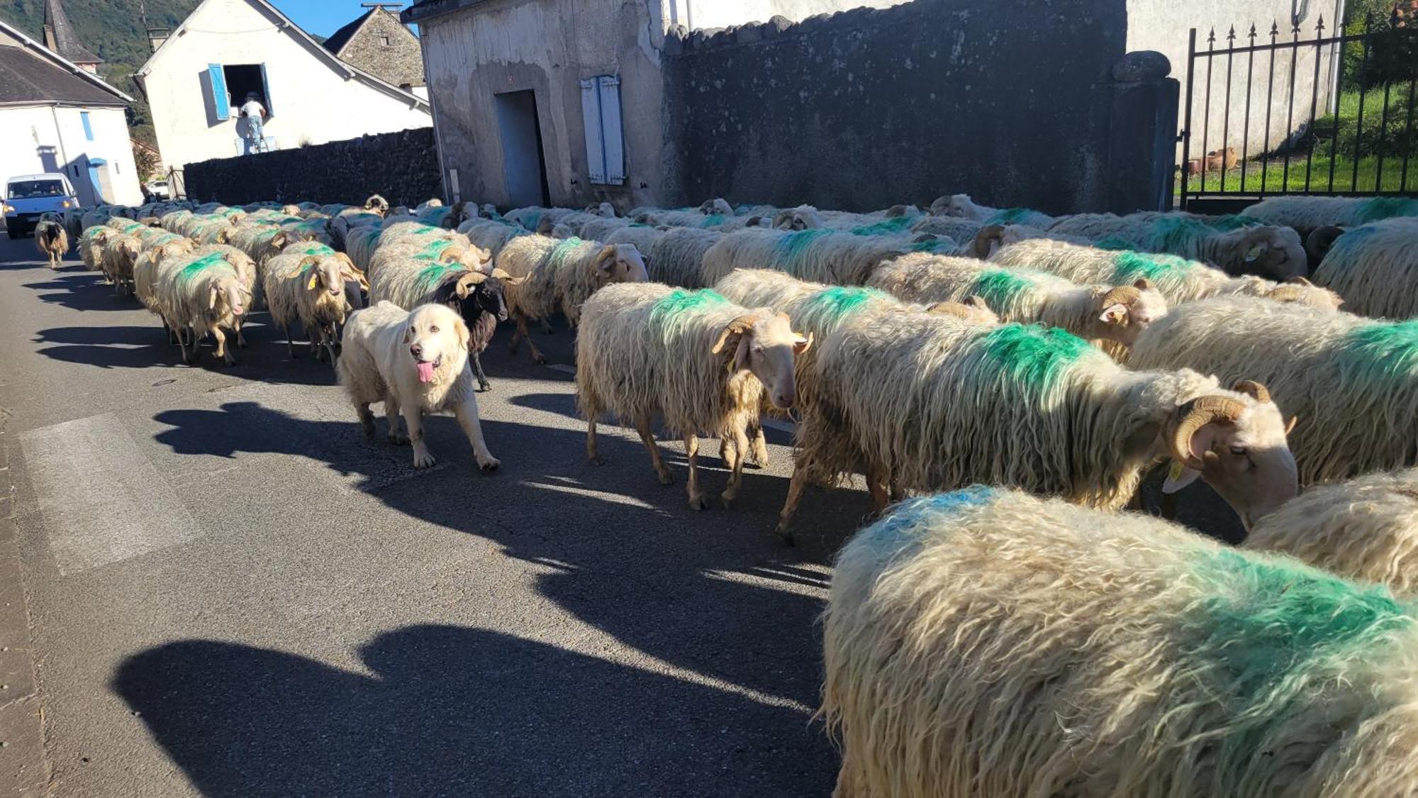 Maison De Campagne Issor Esterno foto
